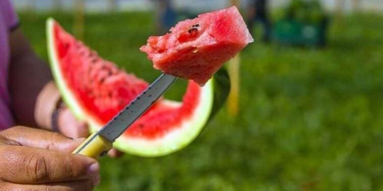 1 kişi hayatını kaybetmişti… Adana’daki silahlı kavganın 7 zanlısı tutuklandı!