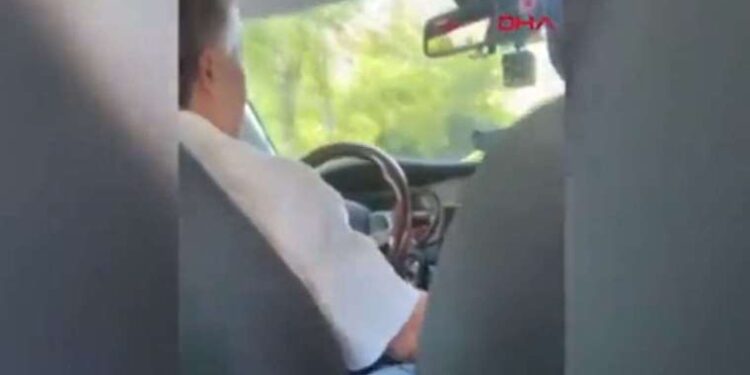 Sıcak havalarda zehirli yılan ısırıkları daha yaygın hale geliyor