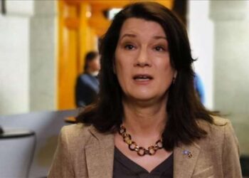 Ukrainian president visits strategic Zmiinyi Island in Black Sea