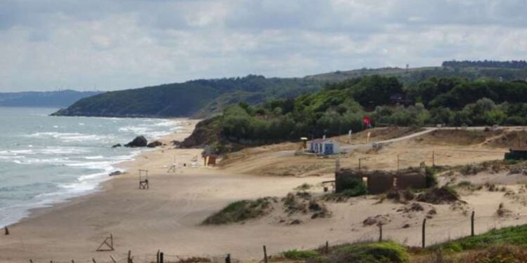 Evinin bahçesinde kafasına kürekle vurularak öldürüldü