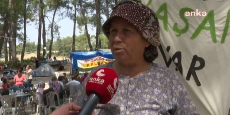 Balıkesir’de orman yangını: 5 saatte kontrol altına alındı!