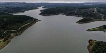 Lexus, Avrupa’da satışlarını artırdı