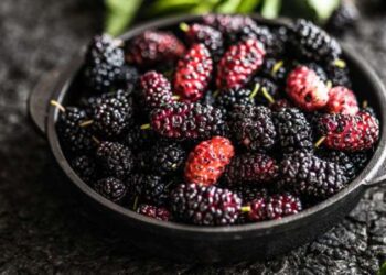 Karadutun faydaları nelerdir? Karadutlu sorbe tarifi…