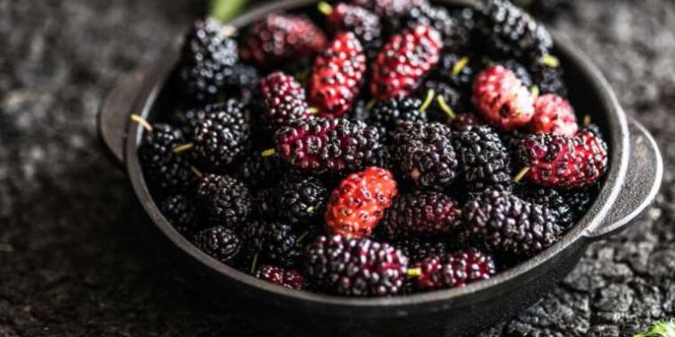 Karadutun faydaları nelerdir? Karadutlu sorbe tarifi…