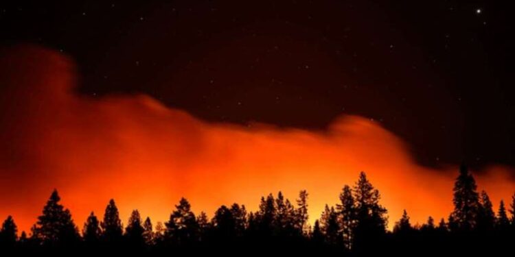 İstanbul’da Filipinli kadının şüpheli ölümü: Yalnız yaşadığı evde ölü bulundu