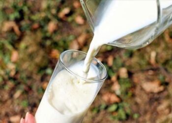 Zam furyası sürüyor: Çiğ süte yüzde 35 zam