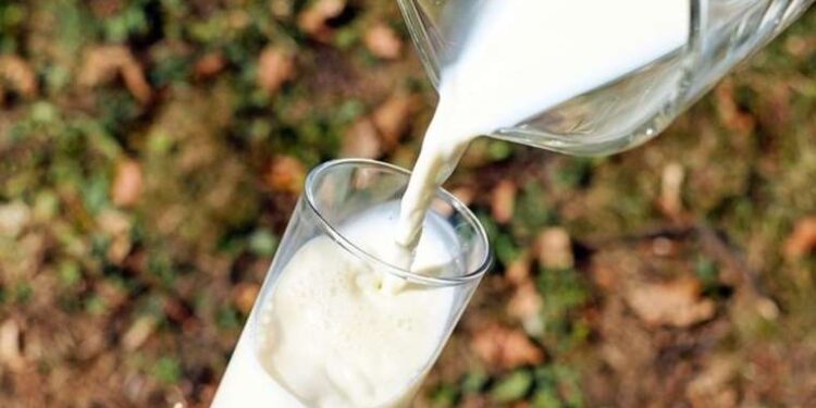 Zam furyası sürüyor: Çiğ süte yüzde 35 zam