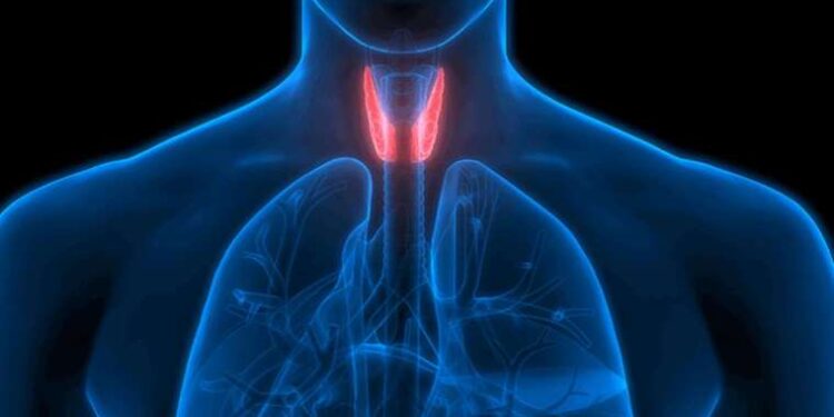 ‘Hormonal bozukluklar ve tiroid hastalıkları aşırı terlemeye neden olabilir’