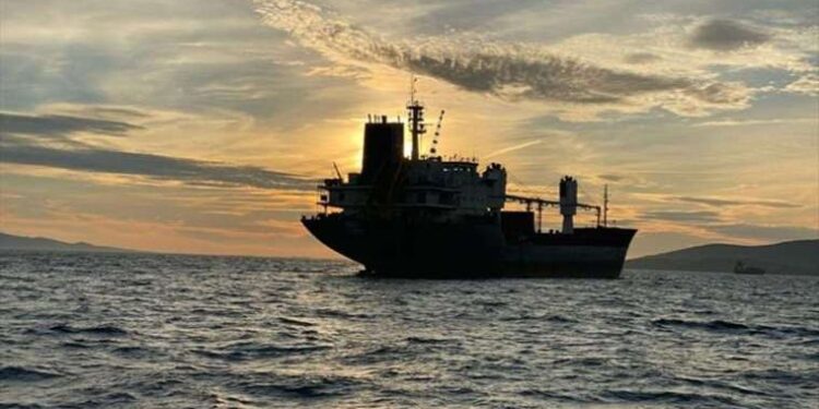 Aliağa’da çevrecilerin hukuk zaferi!