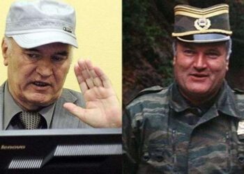 Ratko Mladic kimdir, nereli, kaç yaşında? Ratko Mladic öldü mü? Ratko Mladic ne kadar ceza aldı?