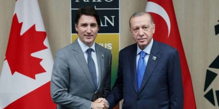 Avşa Adası’nda yangın… Kontrol altına alındı!