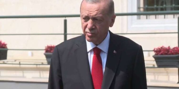 Son dakika... Erdoğan'dan 'Tahıl Koridoru' mesajı: 'Putin'le hemfikiriz'