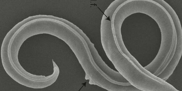 Emeklilerin zam tepkisi devam ediyor!