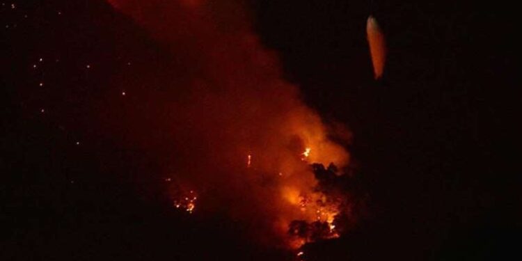 Şırnak’ta 11 kırsal bölgeye 15 gün süreyle girişler yasaklandı