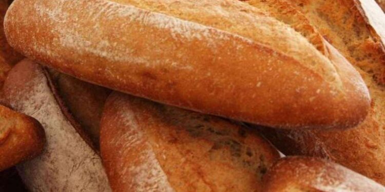 Akbelen’de gözaltına alınan Deniz Gümüşel’in memleketine girmesi yasaklandı