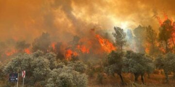 Muğla'da otluk alanda çıkan yangın ormana sıçradı!