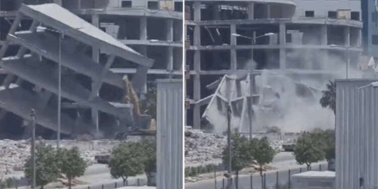 Buz Devri’ne ait solucanlar 46 bin yıl sonra yeniden canlandı