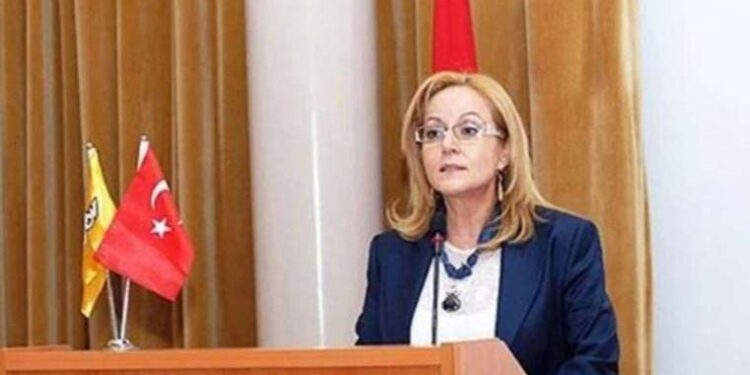 Ayfer Yılmaz kimdir, nereli, kaç yaşında? İYİ Parti Genel Sekreteri Ayfer Yılmaz hangi partilerde görev yaptı?