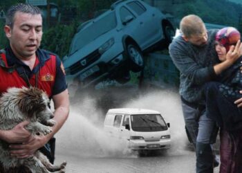 Kars’ta ormanlık alanlara girişler yasaklandı