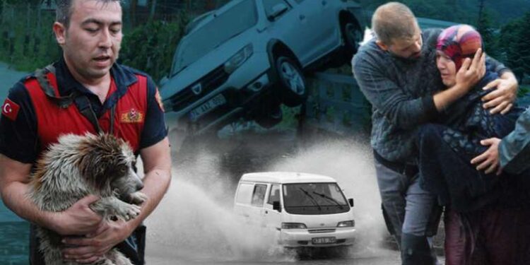 Kars’ta ormanlık alanlara girişler yasaklandı