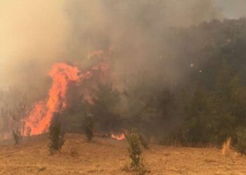Sel nedeniyle dereye düşen kadını arama çalışmaları devam ediyor