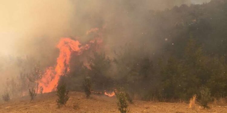 Sel nedeniyle dereye düşen kadını arama çalışmaları devam ediyor