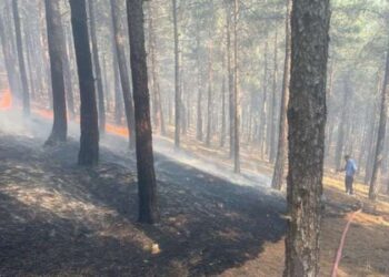 İstanbul’un en sıcak ilçesi 39.7 derece ile Sancaktepe oldu