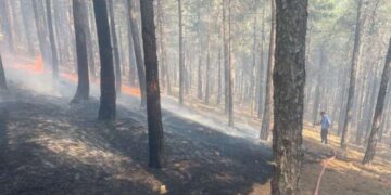 İstanbul’un en sıcak ilçesi 39.7 derece ile Sancaktepe oldu