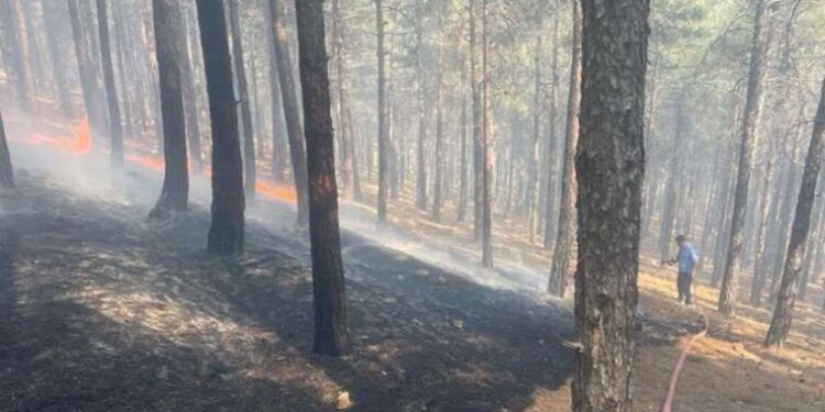 İstanbul’un en sıcak ilçesi 39.7 derece ile Sancaktepe oldu