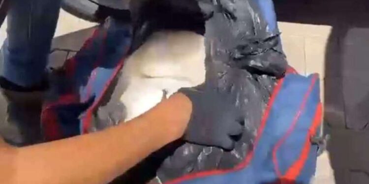 Amazon Prime Video’da Watch Party nasıl yapılır?