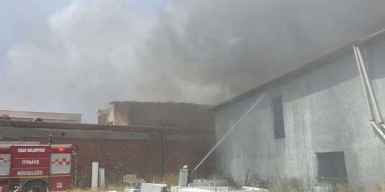 Roni Margulies hayatını kaybetti