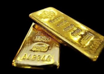 Köpeği av tüfeği ile katletti, ‘Tavuklarıma saldırdı’ dedi