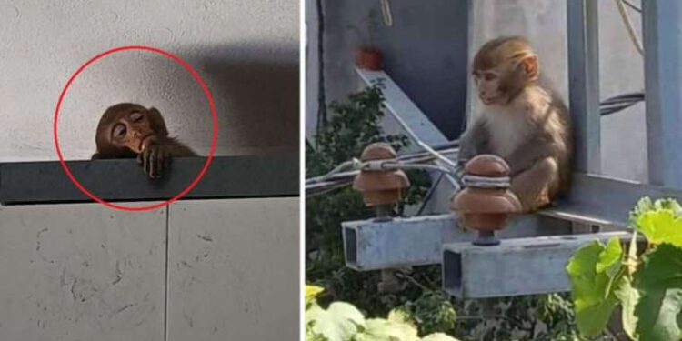 9 natural wonders you must see during Lycian Way hike