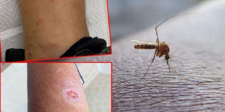 Müzekart ücretsiz mi oldu? Müzekart GNS nedir? Müzekart başvurusu nereden, nasıl yapılır?