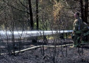 Kendisine cinsel saldırıda bulunan erkeği öldürdü
