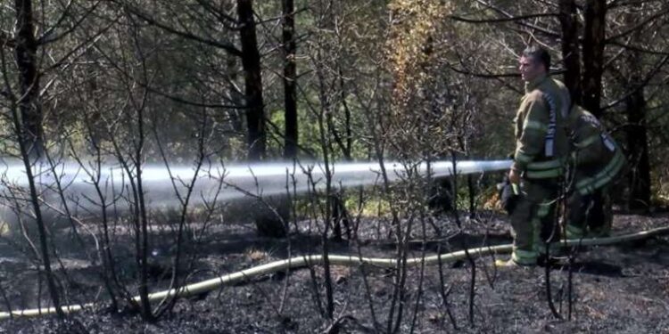 Kendisine cinsel saldırıda bulunan erkeği öldürdü