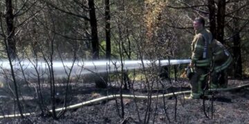 İstanbul Sultangazi'de orman yangını!