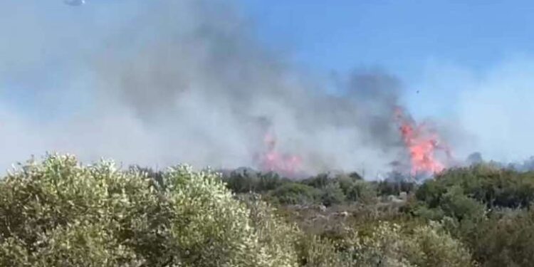 İzmir'de orman yangını... Karadan ve havadan müdahale ediliyor!
