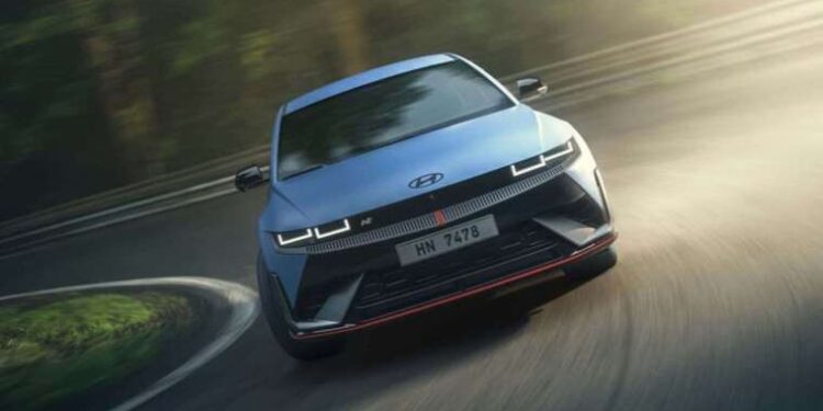 Ayvalık’ta ölü yunus kıyıya vurdu