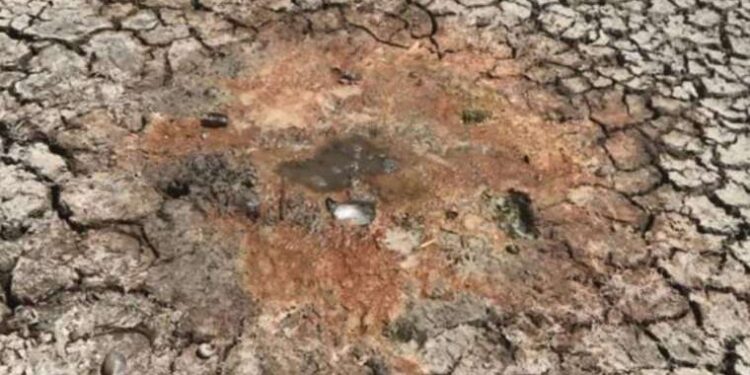 Önceden balık tutuluyordu: Gölden geriye parçalanmış toprak kaldı