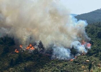 ’Pehlivan 22’ operasyonu: 15 milyon değerinde kaçak elektronik sigara ele geçirildi