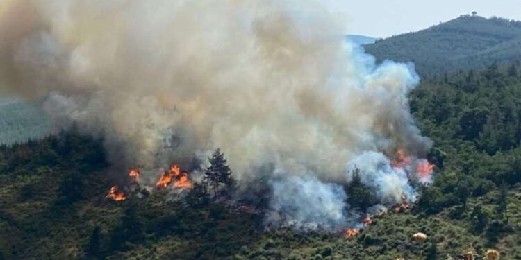’Pehlivan 22’ operasyonu: 15 milyon değerinde kaçak elektronik sigara ele geçirildi