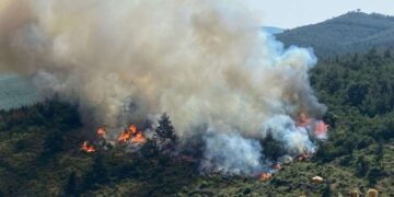 Balıkesir’de orman yangını! Ekipler müdahale ediyor