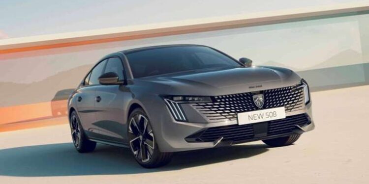 Boğaziçi’nde köpekler ‘şimdilik’ yerinde kalıyor