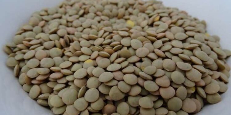 Mercimek ihracatı ilk 6 ayda 210 milyon dolar oldu: Gelirler arttı