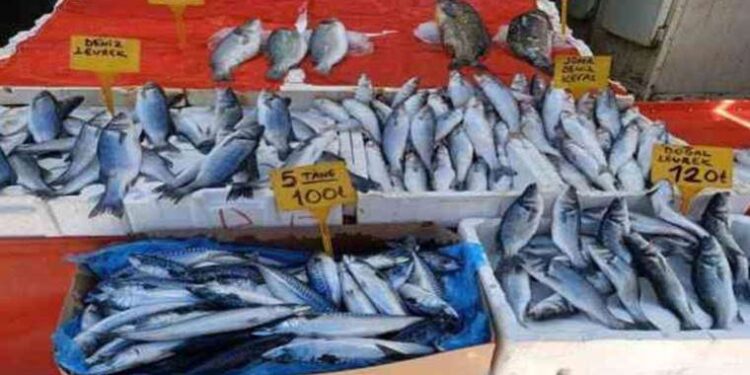 Son dönemin parlayan altcoinleri