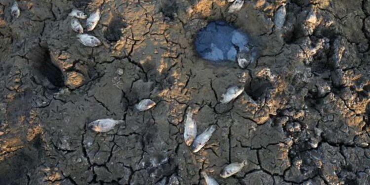 Ekmekte zam muamması! Birbirinden farklı açıklamalar…