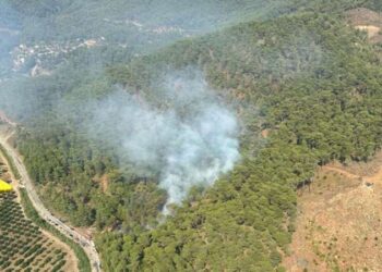 Muğla'da orman yangını! Ekipler müdahale ediyor