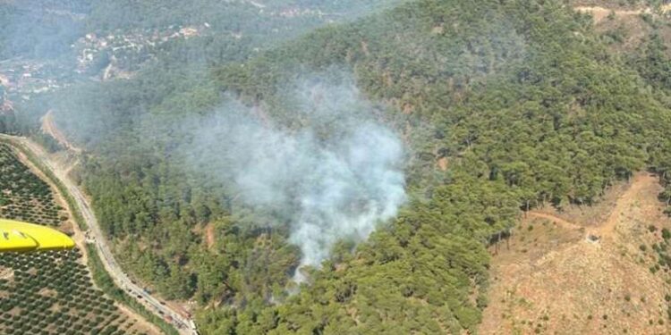 Muğla'da orman yangını! Ekipler müdahale ediyor