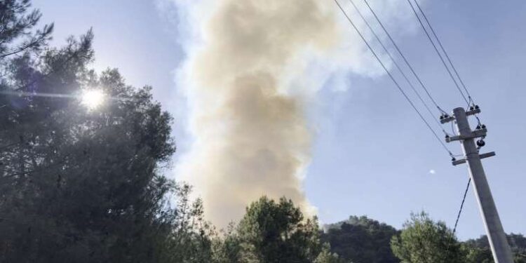 Antalya'da orman yangını: 1.5 hektar alan küle döndü!